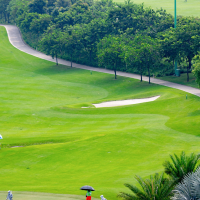 San Golf Yen Dung Amber Golf CLub