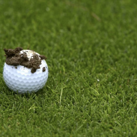 bóng golf dính bùn
