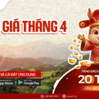 BANG GIA THANG 4 zalo oa 02