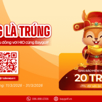 Swing la trung bung no 20 trieu dong voi HIO cung Baygolf