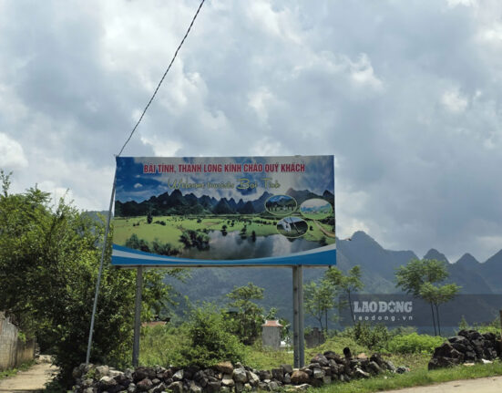 Sân golf Bãi Tình