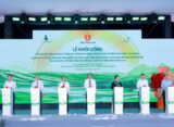 tn1951 17352313