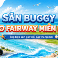 săn buggy vào fairway miền Bắc