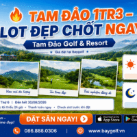 Tam Đảo Golf giá 1.300.000đ