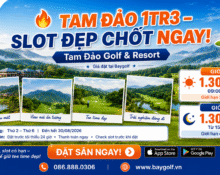 Tam Đảo Golf giá 1.300.000đ
