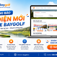website Baygolf