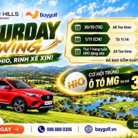 Flash Sale Amber Hills